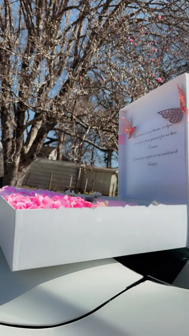 Caja de regalo con pétalos rosas y tarjeta
